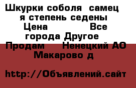 Шкурки соболя (самец) 1-я степень седены › Цена ­ 12 000 - Все города Другое » Продам   . Ненецкий АО,Макарово д.